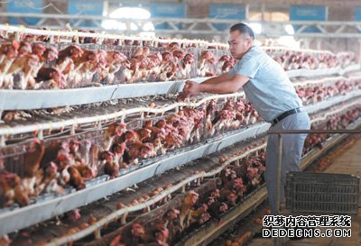 風沙窩變成“金銀鋪”（集中連片特困地區(qū)貧困村調研行）