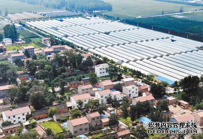 風沙窩變成“金銀鋪”（集中連片特困地區(qū)貧困村調研行）