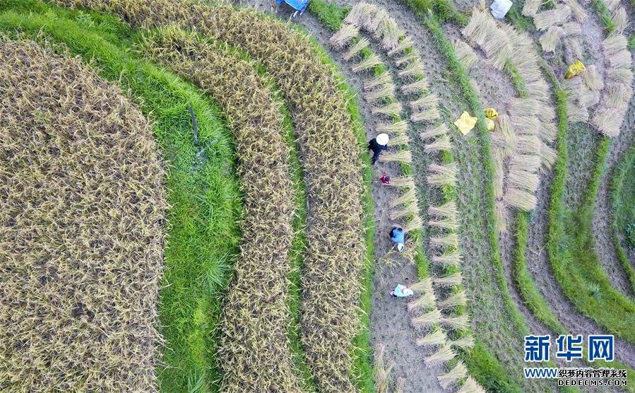 中國電子發(fā)起設(shè)立PK體系生態(tài)聯(lián)盟
