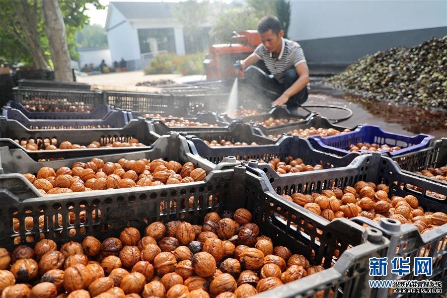 中國電子發(fā)起設(shè)立PK體系生態(tài)聯(lián)盟